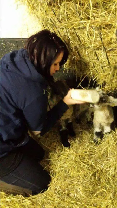 One of the animals Amber looks after