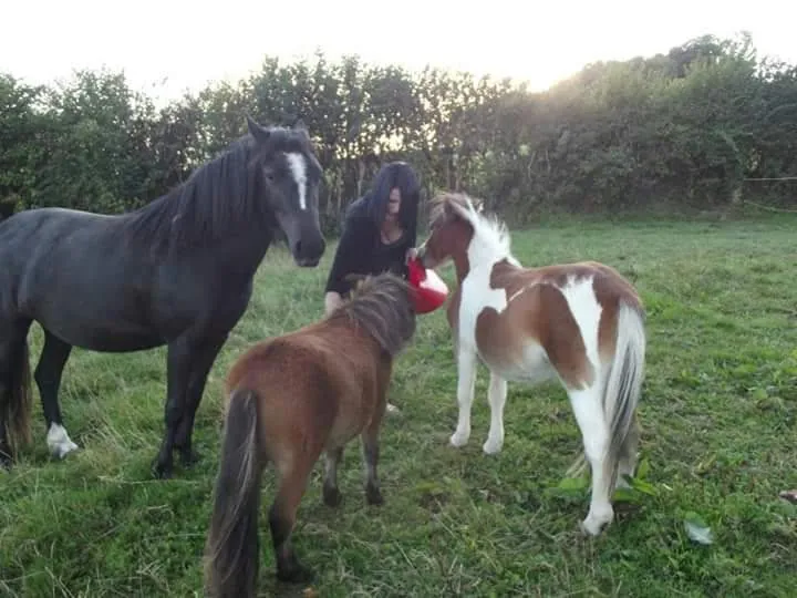 One of the animals Amber looks after