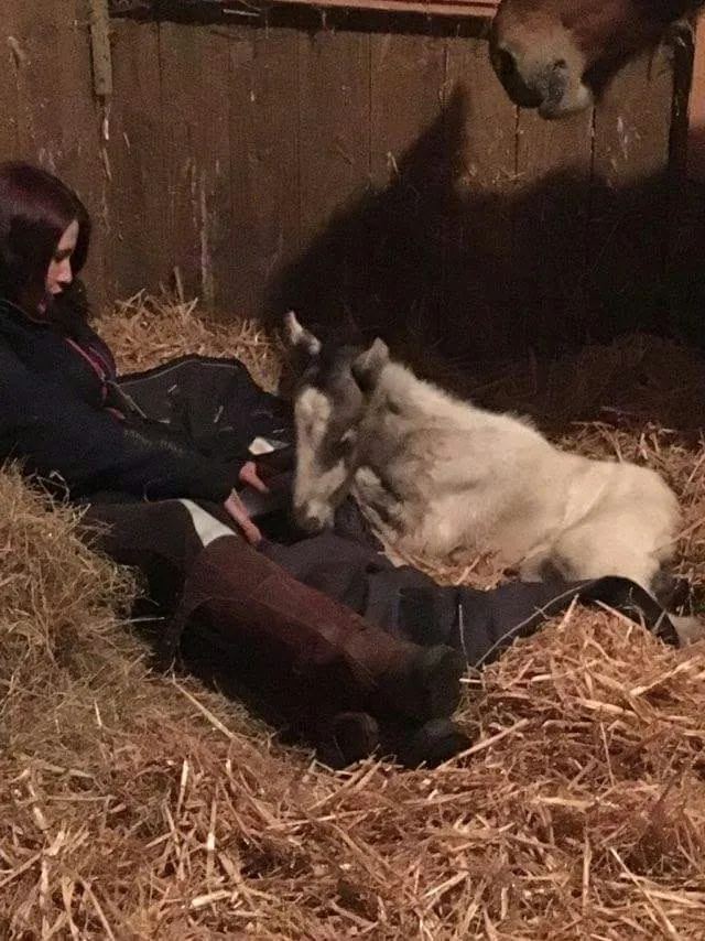 One of the animals Amber looks after